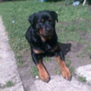 Meet your Posher, Kyle